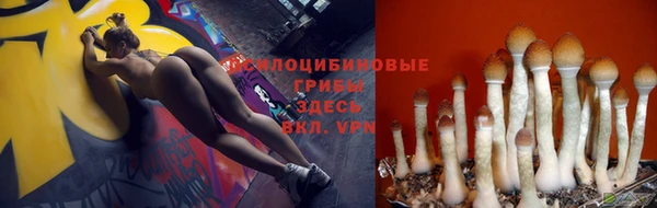 сатива Дмитров