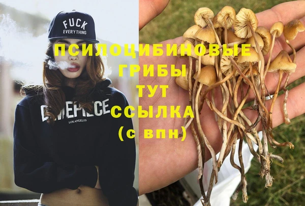 mdma Заволжье