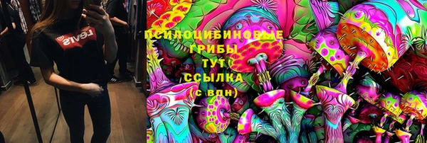 метадон Заводоуковск