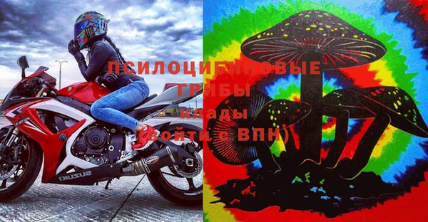 метадон Ельня